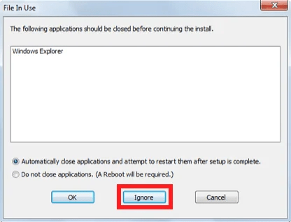 File in Use